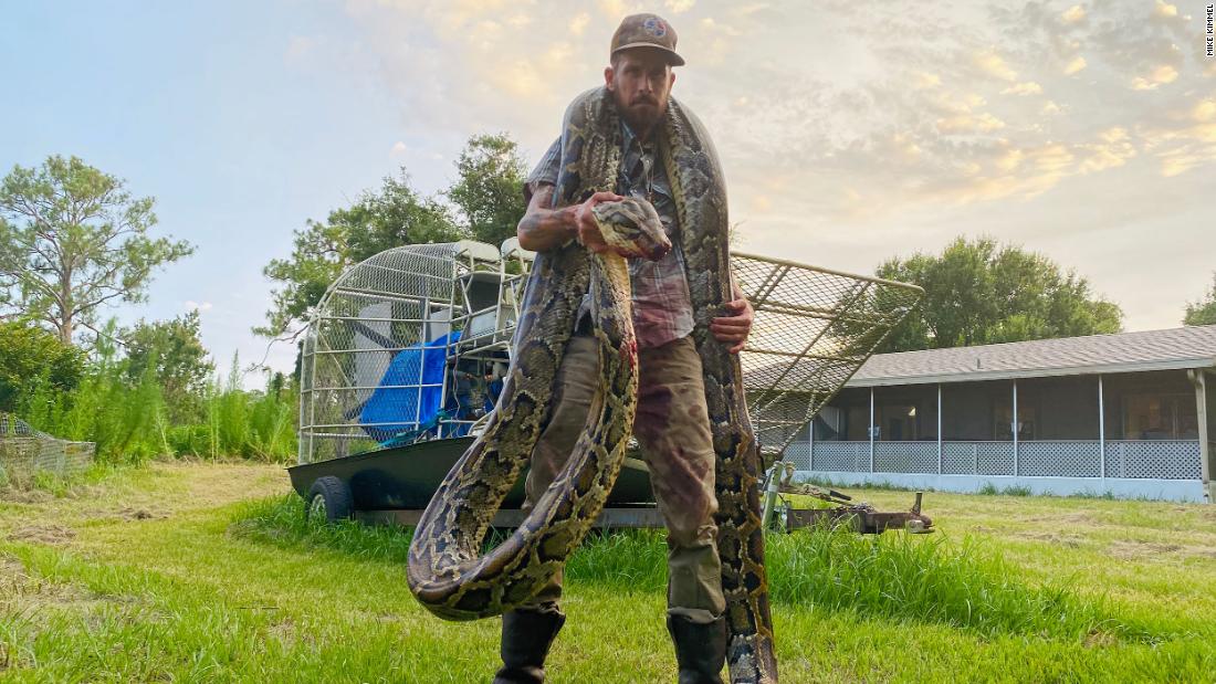 17-foot python caught in Florida