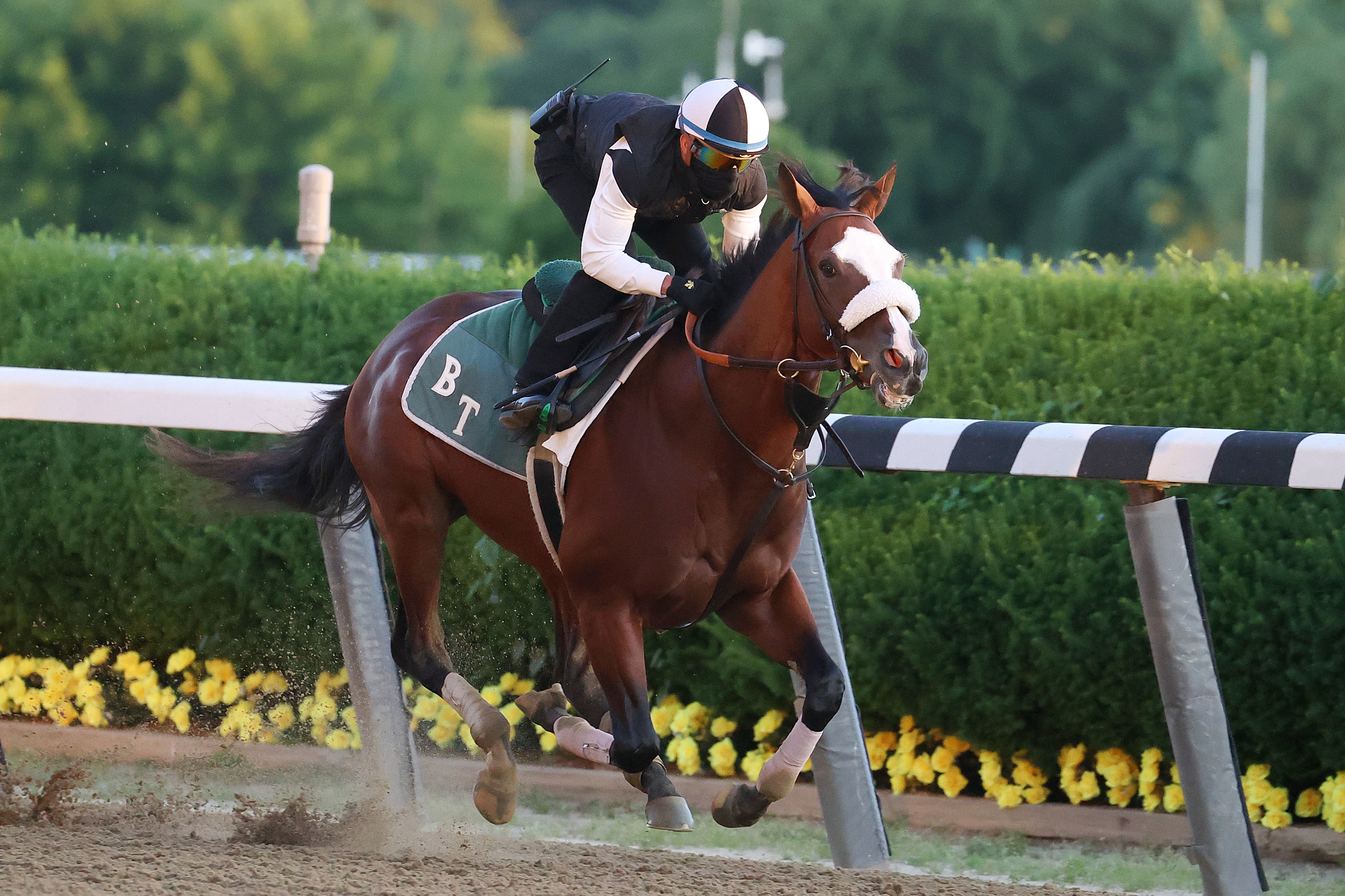 Belmont Stakes gives horse racing its second as only activity in town