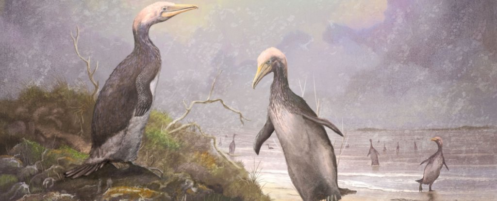 Giant Penguin-Like Birds May Have Once Waddled Around The Northern Hemisphere, Too