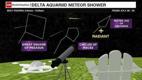 North American stargazers should look to the low, southern horizon for the best Delta Aquariid meteor viewing.