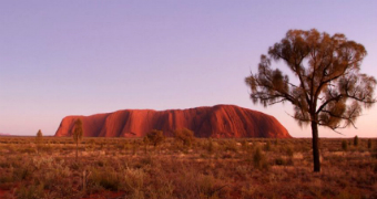Wide shot of Uluru at sunset with a tree in the foreground on the right.
