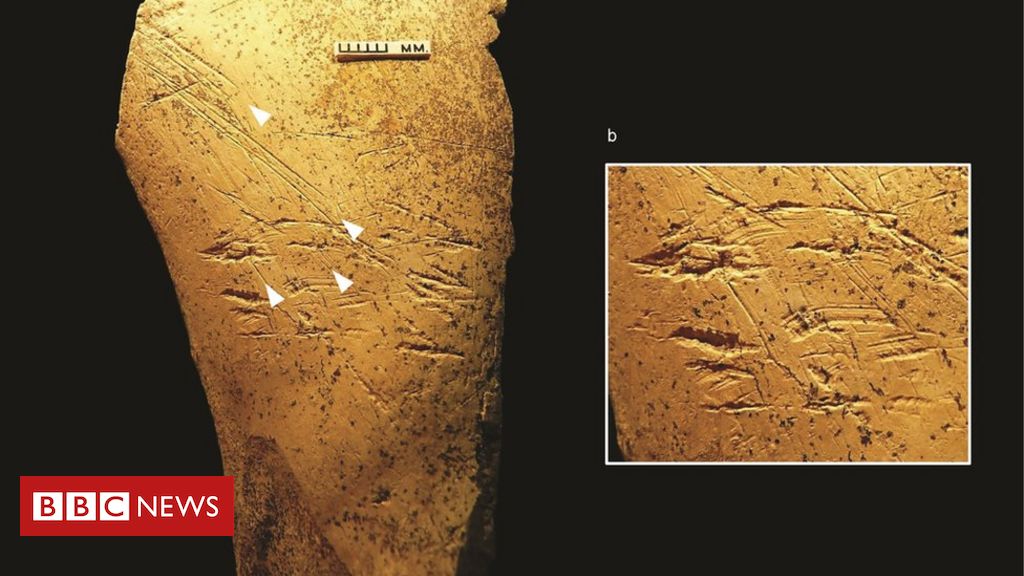 Europe's earliest bone tools found in Britain