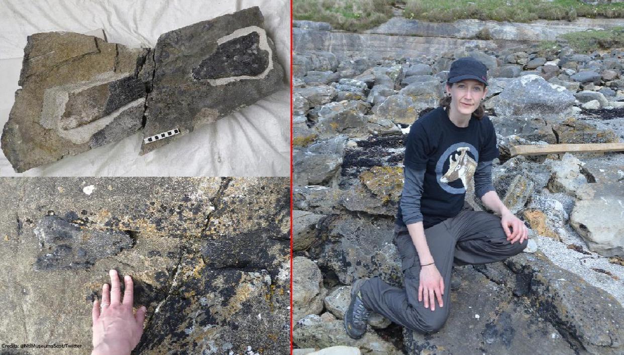 UK scientist discovers dinosaur fossil while running along shore of Eigg beach