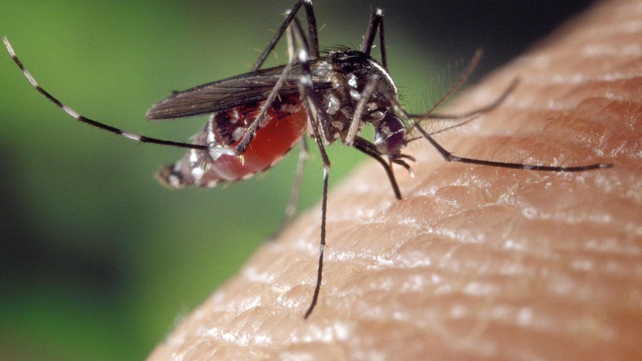 West Nile virus-positive mosquitoes found in DeKalb County