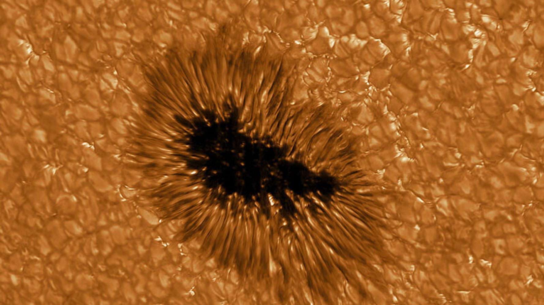 Gaze deep into a sunspot, courtesy of these Solar Telescope images