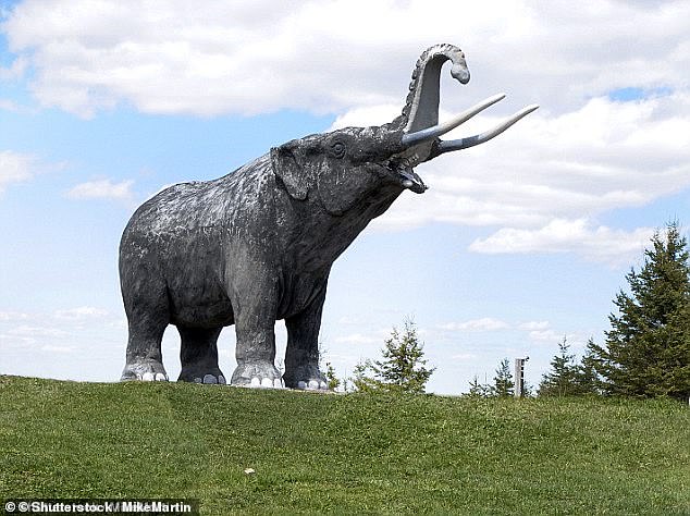 Mastodon are ancient relatives of elephants and mammoths that were thought to have been destroyed by humans, but recent DNA tests show they became extinct long before.