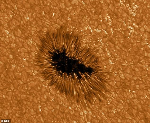 Using the largest telescope in Europe, known as GREGOR, scientists have captured amazing details about the evolution of sunspots and the intricate design of solar plasma.  Pictured is a sunspot observed at 430 nm