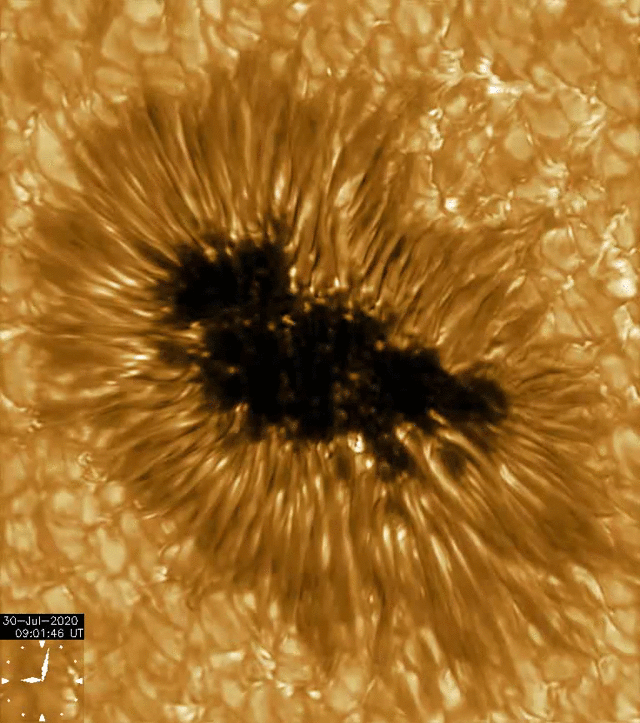 An animation of a sunspot viewed via the Gregorian telescope.