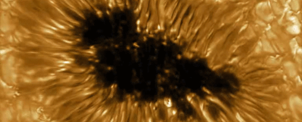 New high-resolution images of the sun show what a frightening sunspot looks like in close-up