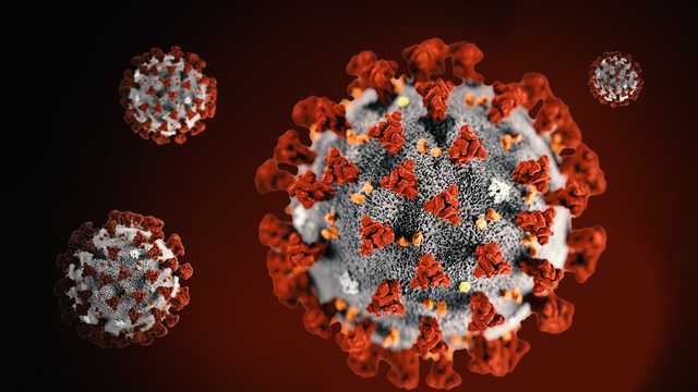The Center for Disease Control in Maine has reported one new coronavirus-related death, and 19 new cases