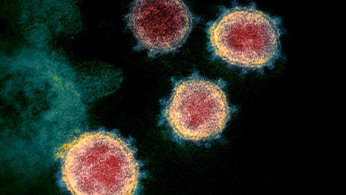 The Maine Center for Disease Control has reported 21 additional coronavirus cases, and there are no new deaths