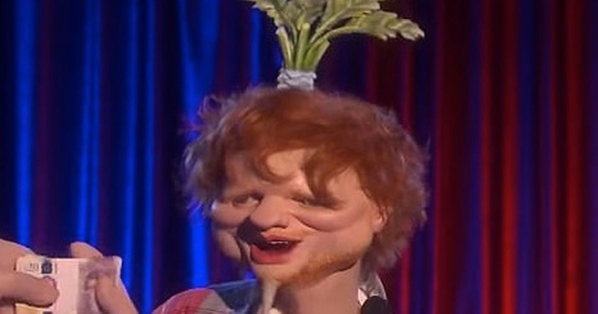 Image of spitting 'rejig' Ed Sheeran doll due to fears of offending Ginger