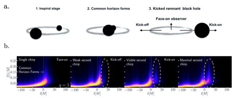 The stages of a black hole merger