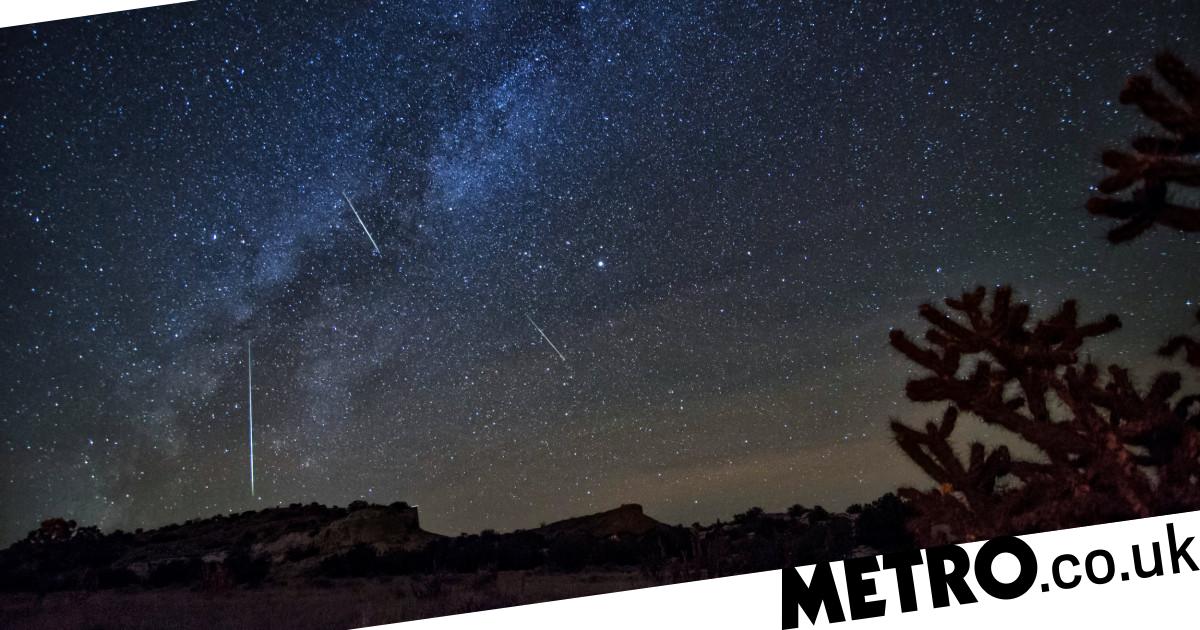 Meteors fall the dragon reaches its climax tonight as stars fill the sky
