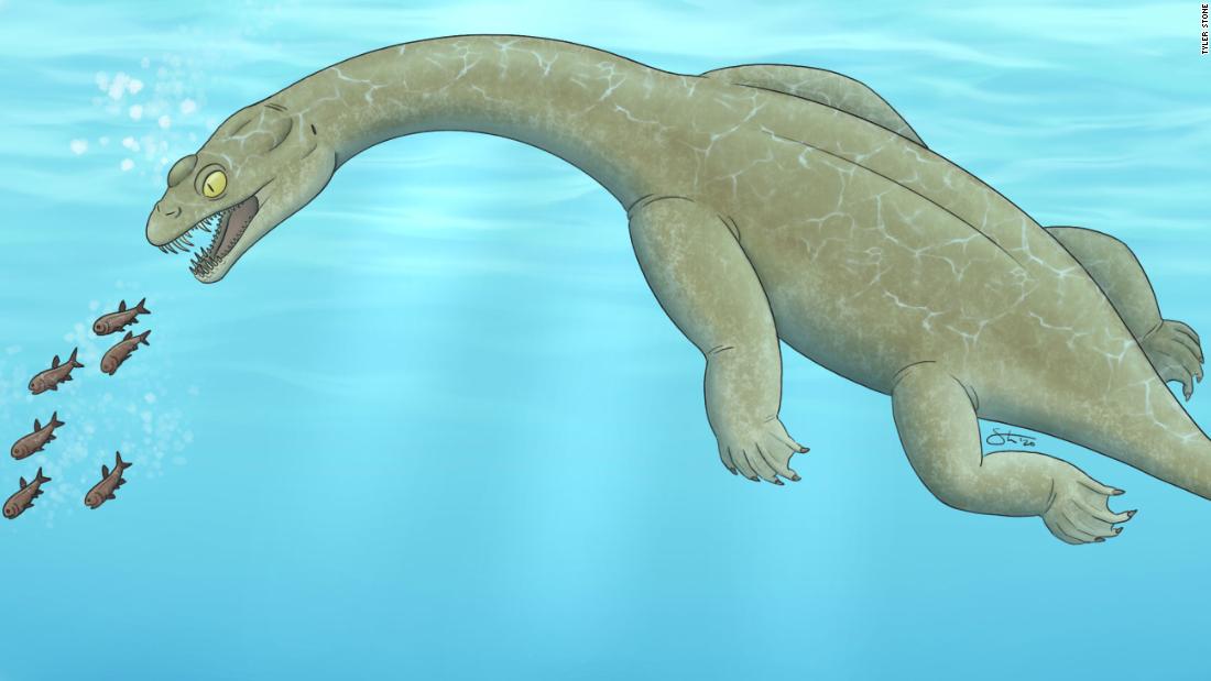 A newly discovered Triassic lizard can float underwater to capture prey