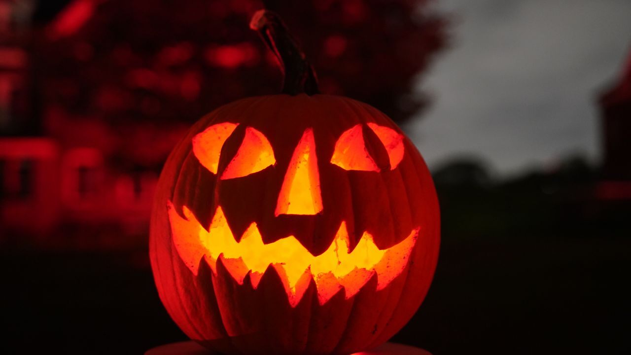 Fun and family-friendly Halloween events planned in Tampa Bay