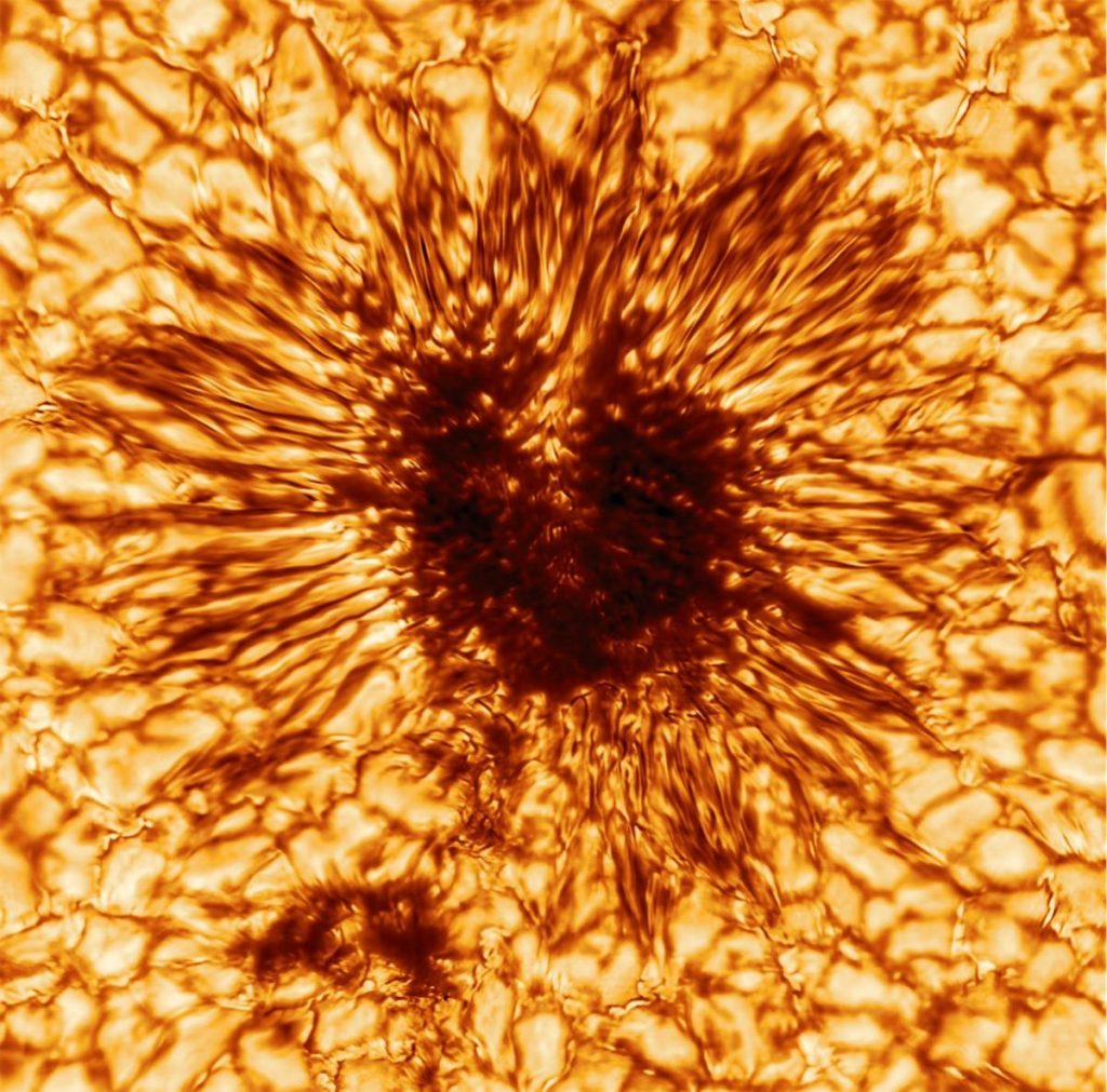 Stunning high-resolution image of a sunspot resembling a sunflower