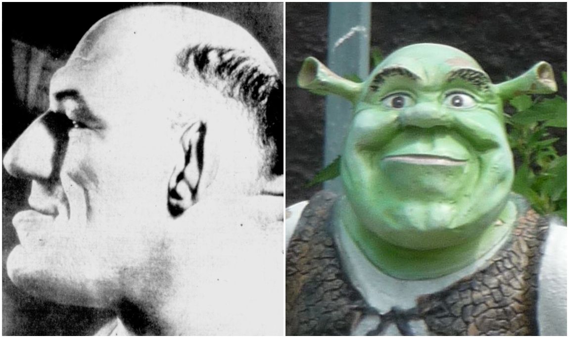 Shrek's appearance may depend on the French wrestler