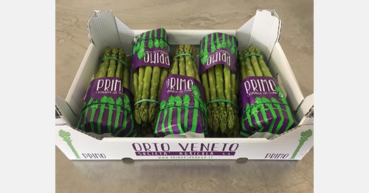 Early organic green asparagus from Italy