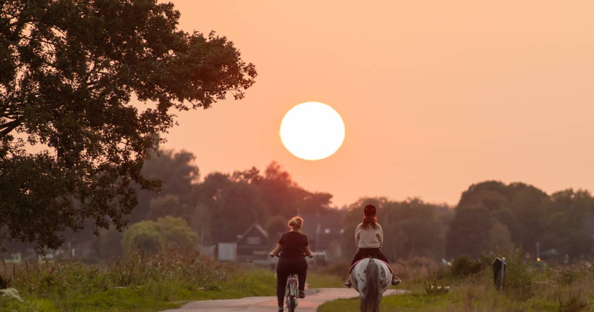 Smoke from wildfires in the western United States creates colorful skies in the Netherlands |  Interior