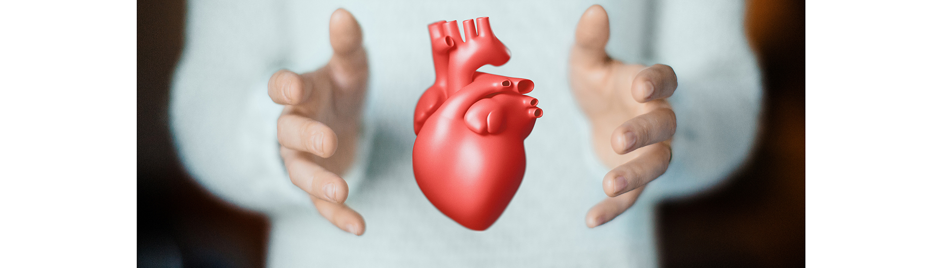 The heart is of sufficient quality for transplantation after euthanasia