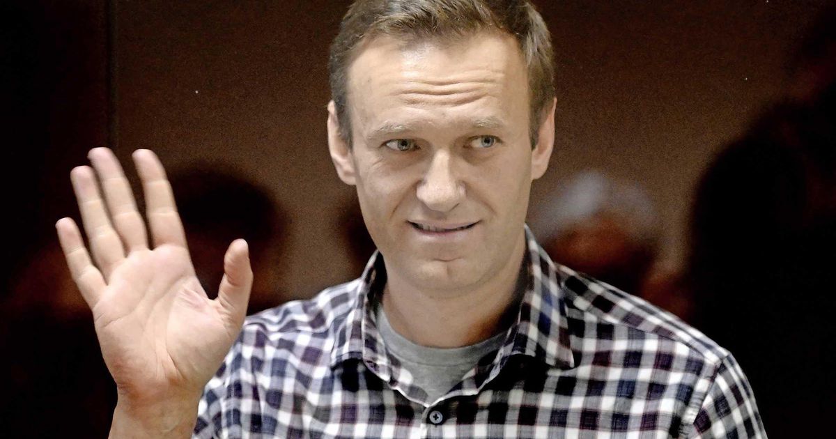 Private Doctors Calling to Navalny: Stop the Hunger Strike |  abroad
