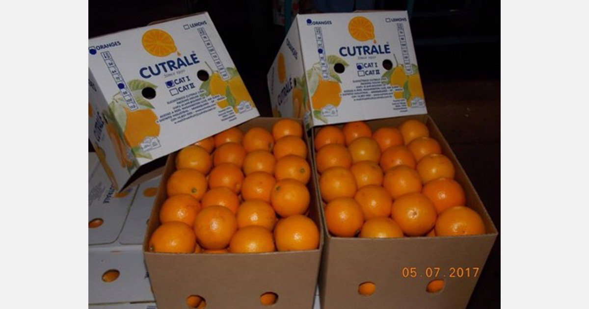A Brazilian orange growers group file a lawsuit against Cutrale across the UK