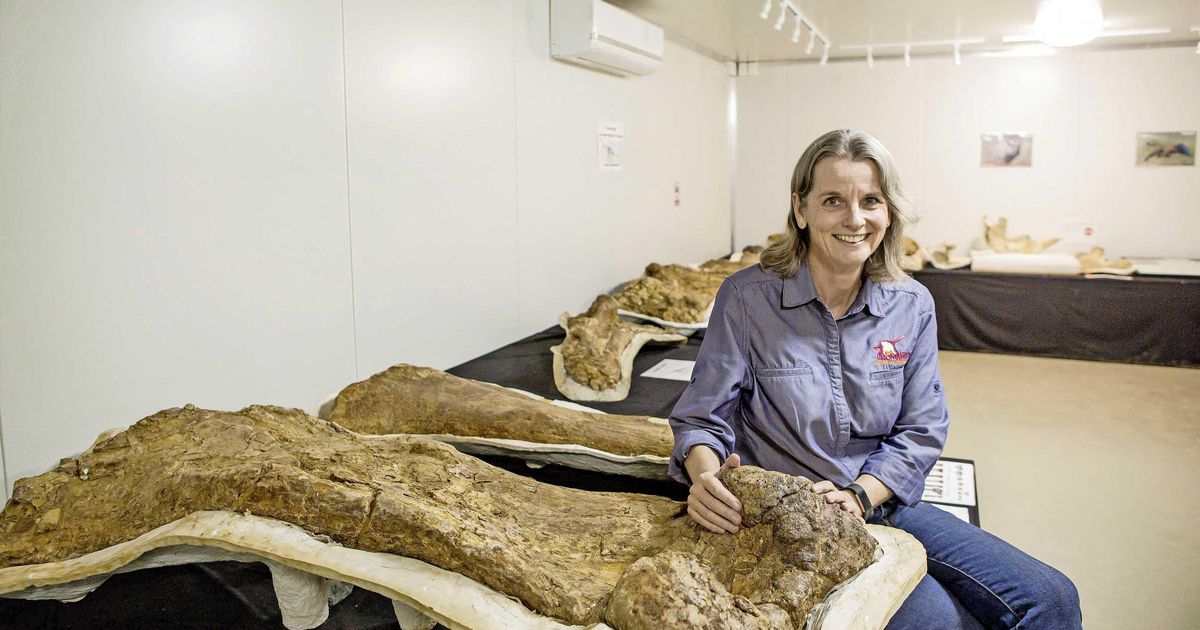 A huge titanosaur in Australia turns into a new species |  Science