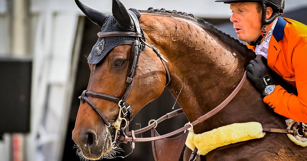 Show jumper Greve shines in winning country competition CHIO Rotterdam |  sport