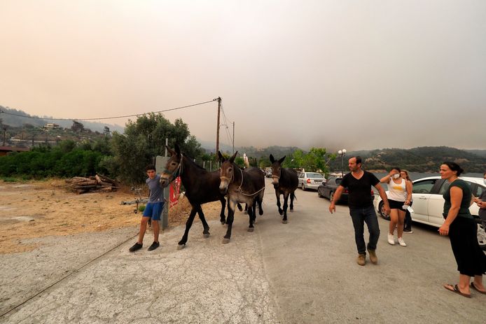 Evacuation of the Kochyli Beach holiday resort near the village of Limni on the island of Evia, about 160 kilometers (100 mi) north of Athens.