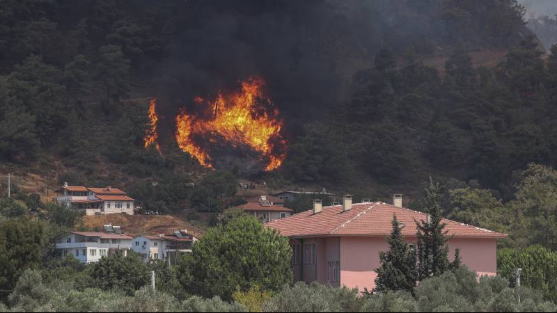Fires in Turkey: 'From beautiful nature to an extinguished fireplace'