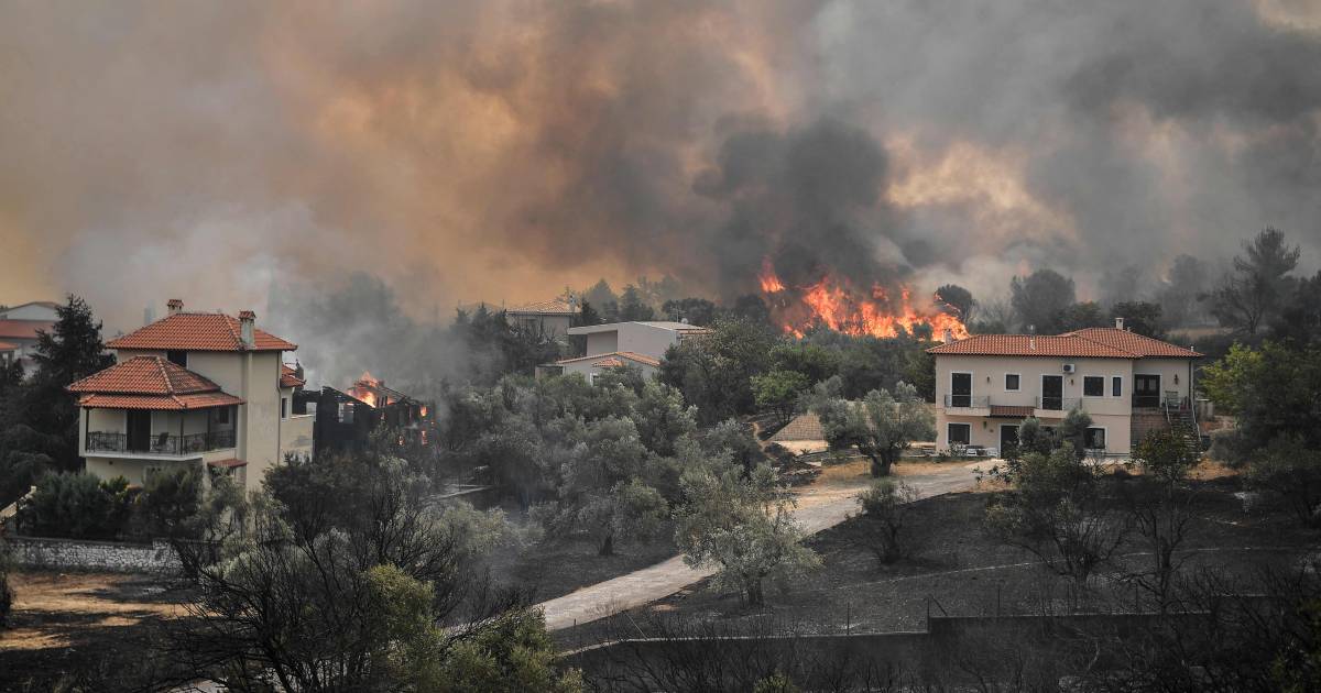 Thousands of evacuations due to wildfires in Greece |  abroad