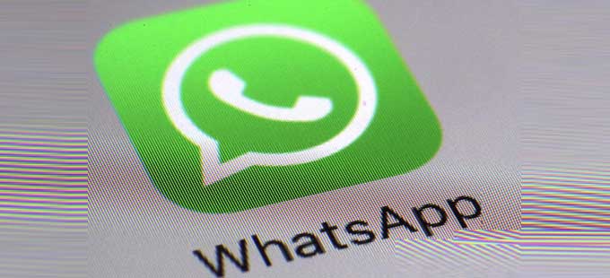 WhatsApp feature disappears in privacy settings