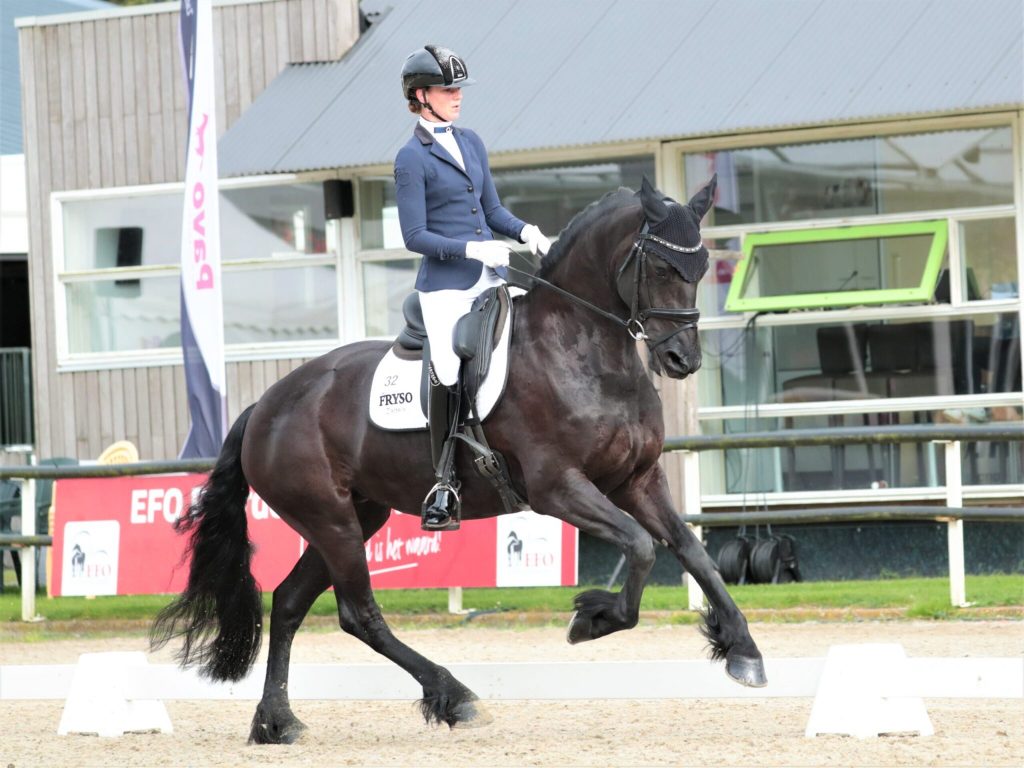 Paavo Friso Bokal's six-year-old mares: Fulke, Weri and Zegna in the final
