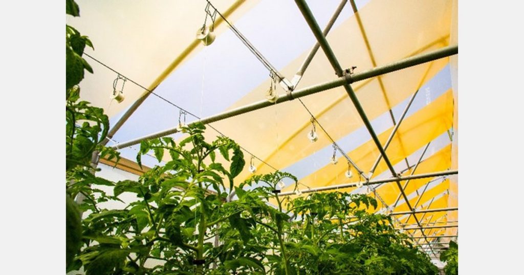 Add a layer of light in the greenhouse