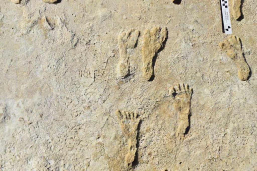 Footprints prove that humans walked across America 23,000 years ago