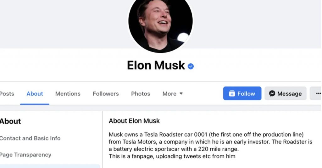 Facebook is checking Elon Musk's fan page as if he were a millionaire businessman