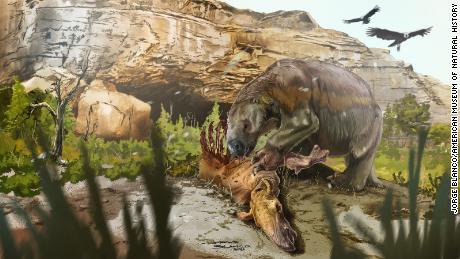 This ancient sloth ate meat, unlike its herbivorous relatives