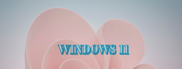 Windows 11, Analysis: Details windows ... for details ignored