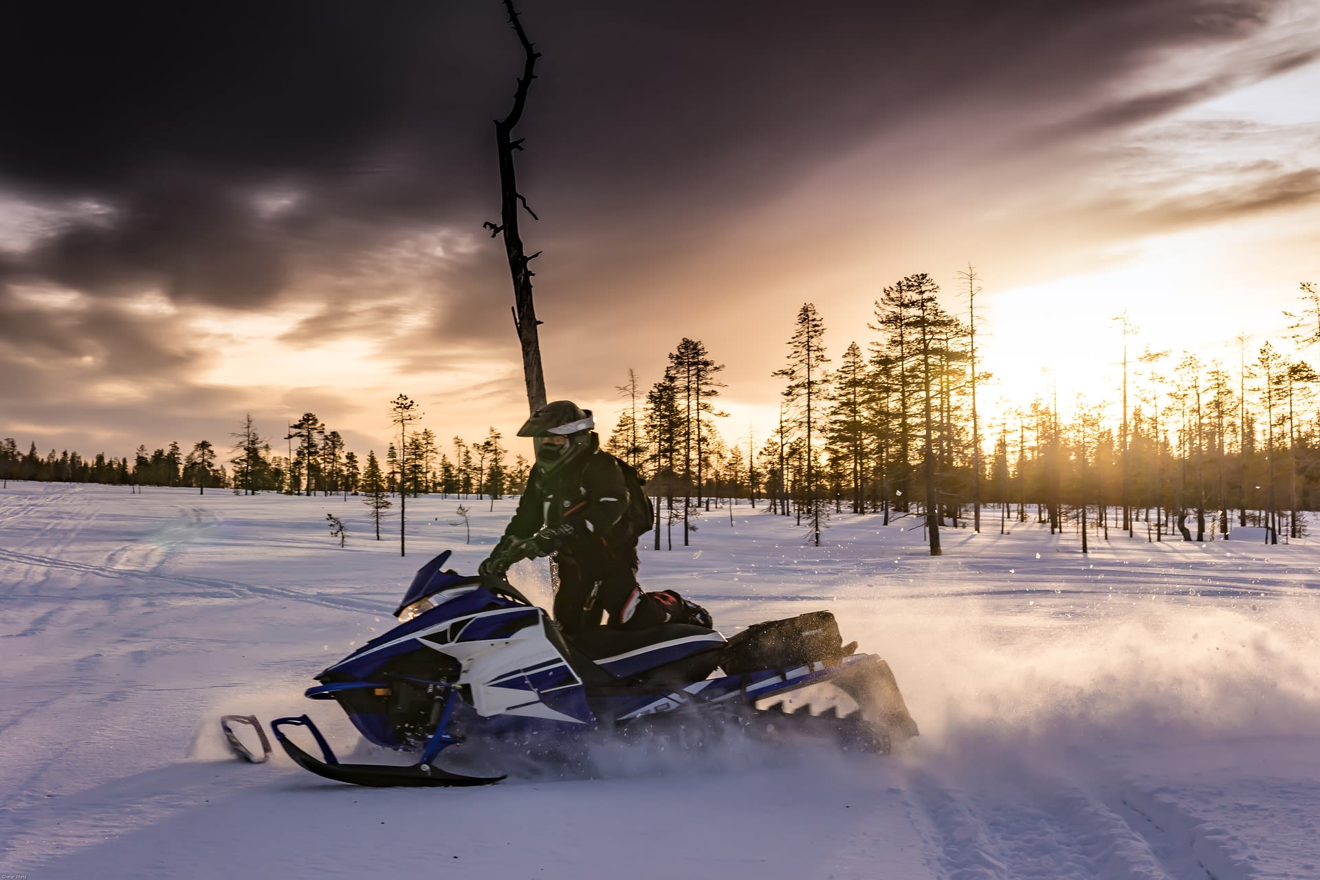 Go on a snowboarding tour in Lapland