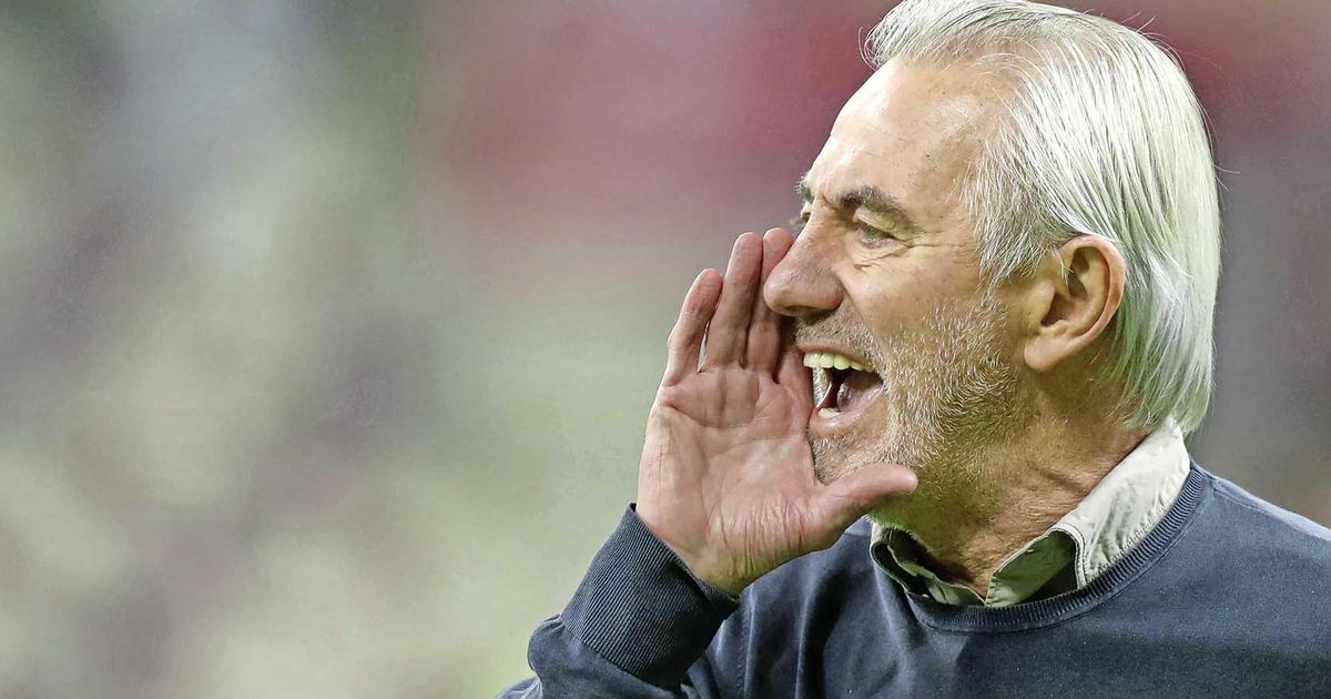 Bert van Marwijk Still Hopes for World Cup and Qatar Finals for Dick Advocaat Out of Sight |  football