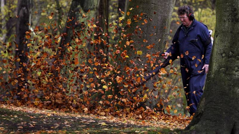 Polluted leaf blower disappears, but leaf blower does not: 'Take the rake'
