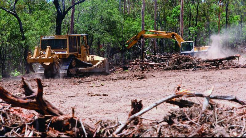 The Australian government questions the extent of deforestation in Queensland
