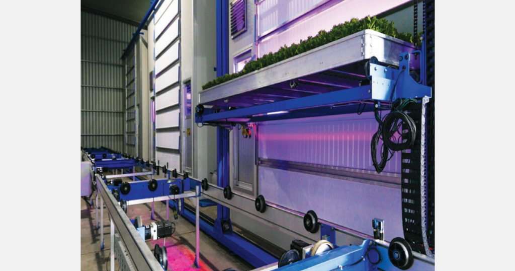 Large-scale vertical farm projects in Canada and Australia worth €58 million