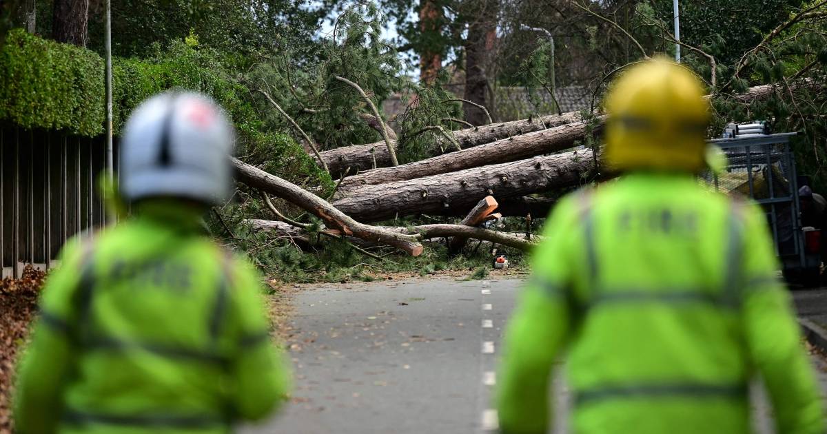Storm Irwin rages over the UK: at least two deaths, widespread power outages |  abroad