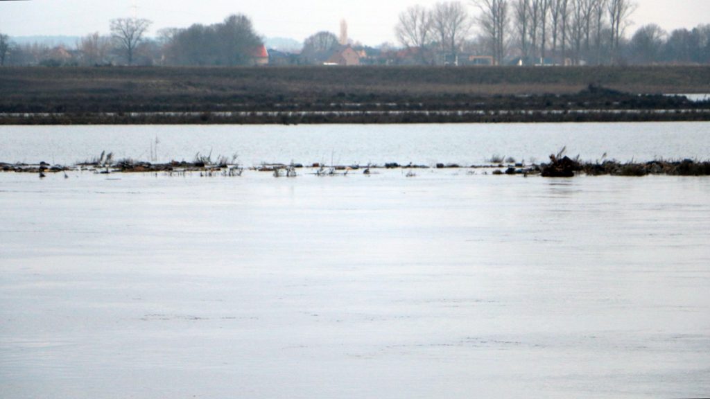 Rijkswaterstaat warns of increased water levels