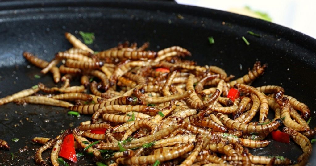 "Eating insects will be crucial in the fight against hunger"