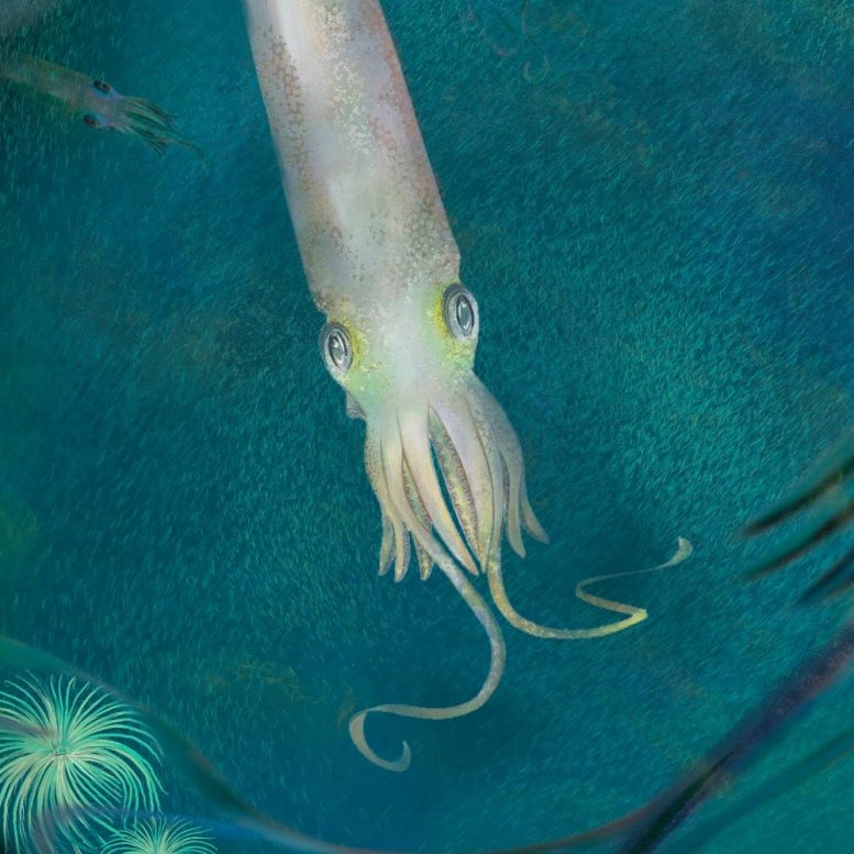 Hail squid - a new species of extinct cephalopod resembling a 10-armed vampire named after Biden