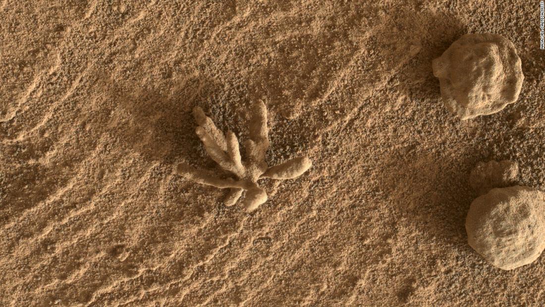 Small "flower" formation spotted by the Curiosity rover on Mars