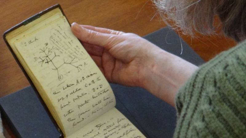 Darwin's notebooks appear in a pink bag after 22 years